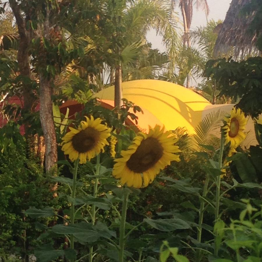 Pakasai Resort Nua Klong Ban Nua Khlong Εξωτερικό φωτογραφία